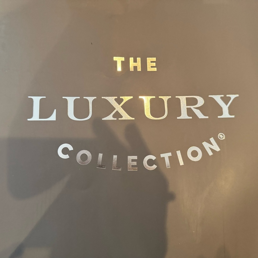 The Luxury Collection Elegant Grey Sturdy Paper Bag - Picture 4 of 4